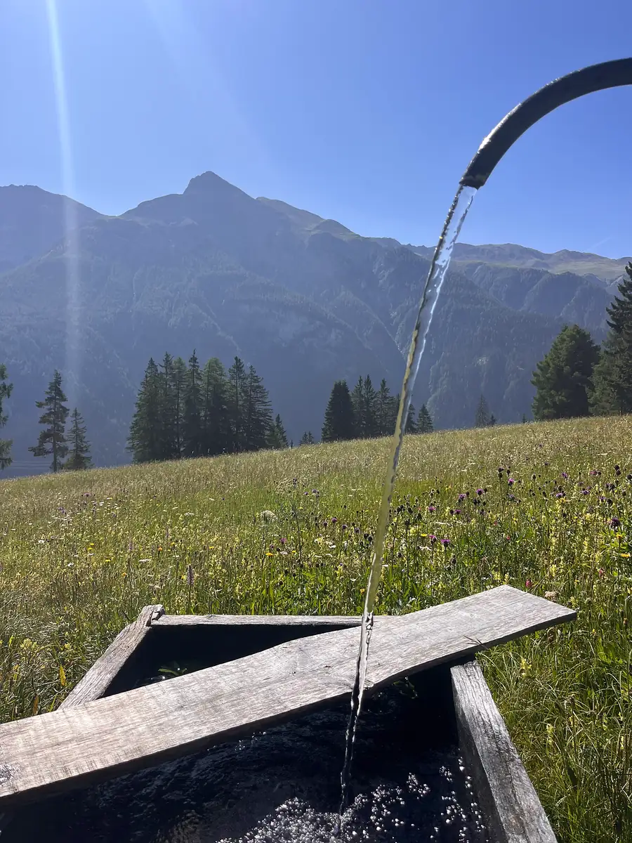 Quellwasser fliesst in den Holzbrunnen vor dem Haus, dahinter Wiese und Berge